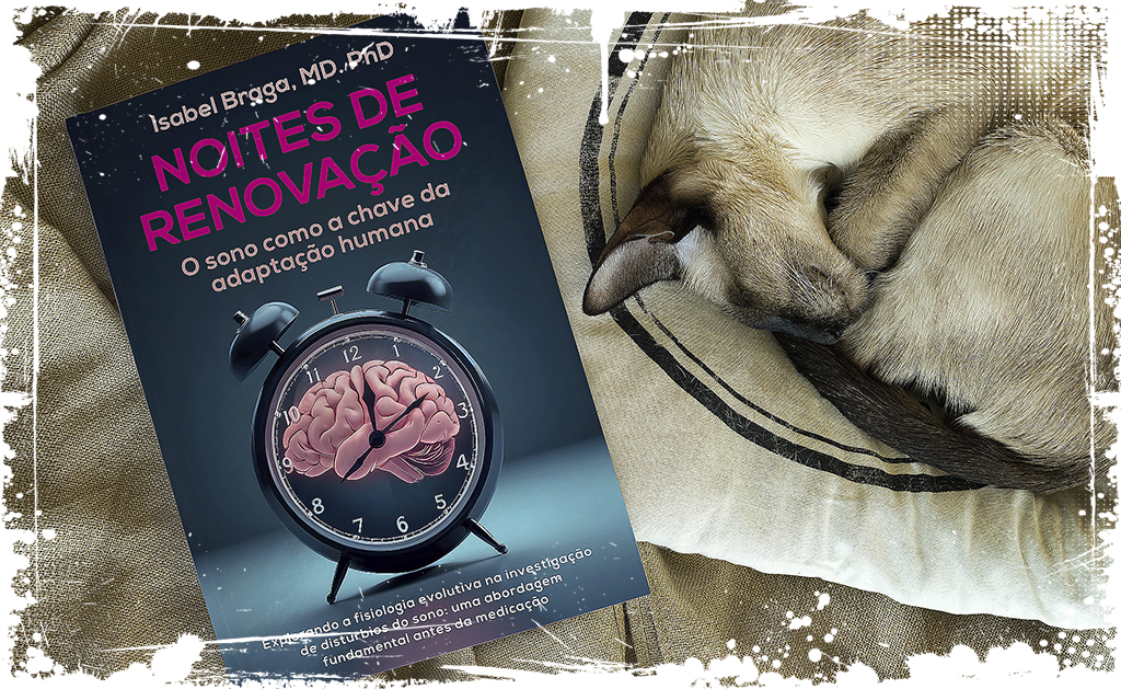 Noites de renovação