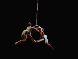 Mostra Janelas da Arte