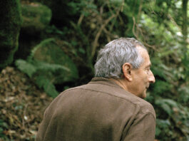 Straub-Huillet