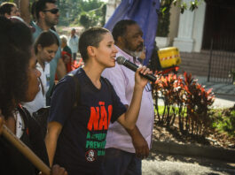 As Quatro Estações da Juventude