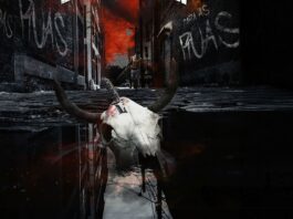 Bull Control