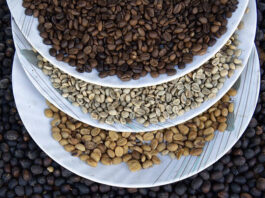 O futuro do café