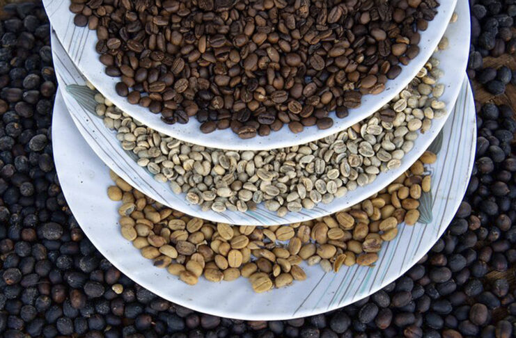 O futuro do café