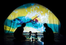 2 Mundos: Espetáculo de sombras impacta público em Planaltina Mostra Lumiato