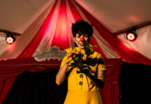 Festival Brasilidades celebra cultura popular na Torre de TV Festival Brasilidades