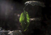 Nada Sobre Nós, Sem Nós destaca inclusão na fotografia Nada Sobre Nós