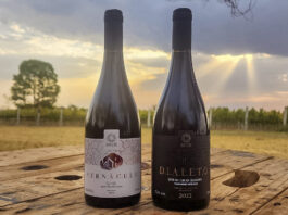 The WineHunter Award