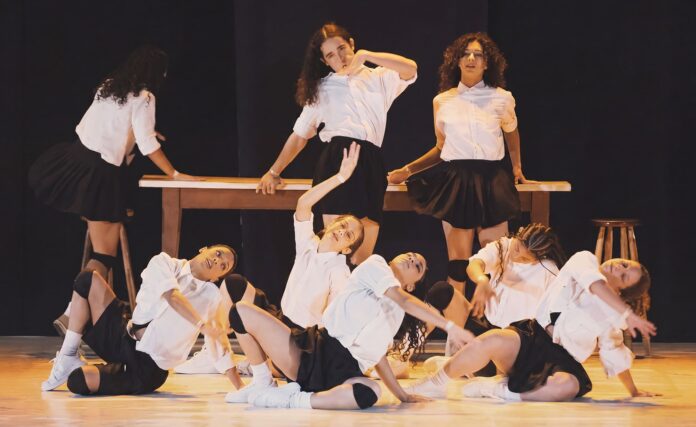 Festival Brasília em Dança