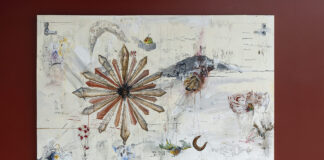 Constelações contemporâneas da cena artística de Brasília Constelações contemporâneas