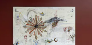 Constelações Contemporâneas da Cena Artística de Brasília Constelações