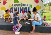Férias no Zoológico de Brasília têm exposições imersivas Férias no Zoológico de Brasília