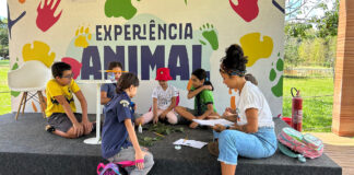 Férias no Zoológico de Brasília têm exposições imersivas Férias no Zoológico de Brasília