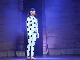 Miraculous Ladybug