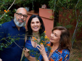 Canções de Rio, Serra e Sertão celebra MPB em Brasília Canções de Rio, Serra e Sertão