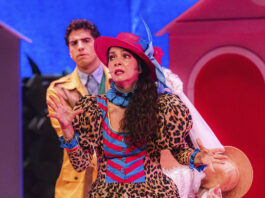 Festa no Arraial, O Musical