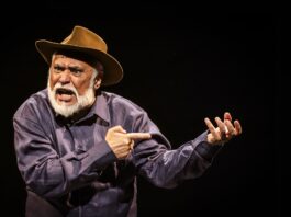 Grande Sertão Veredas