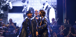 Uma Noite com os Bee Gees traz versão sinfônica ao vivo Uma Noite com os Bee Gees